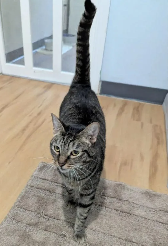 Milky Way thumbnail 2