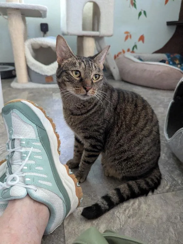 Milky Way thumbnail 3