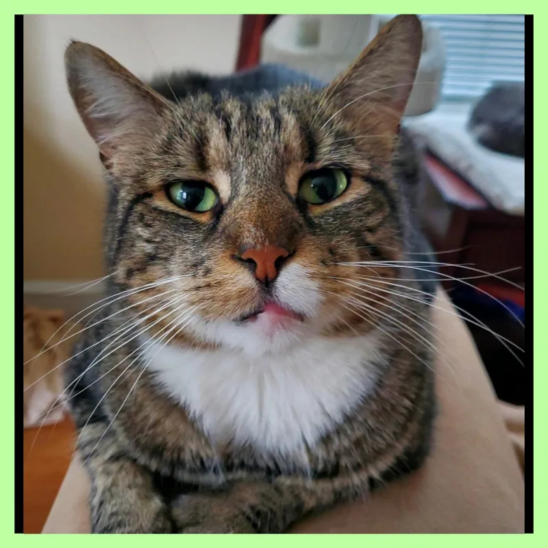 Carleton thumbnail 4