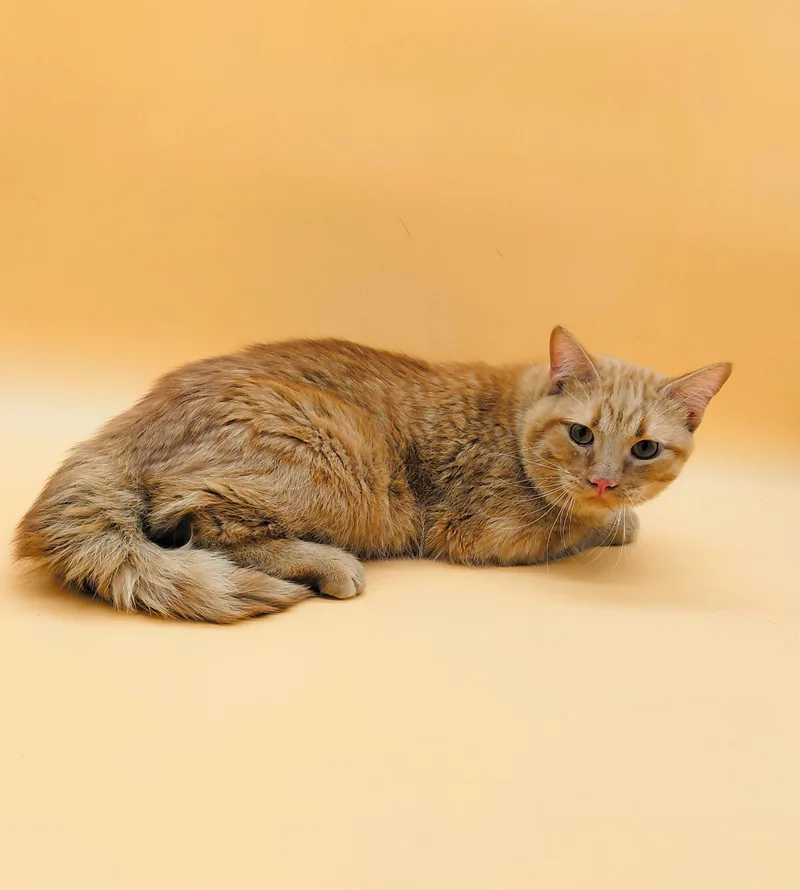 Franklin thumbnail 5