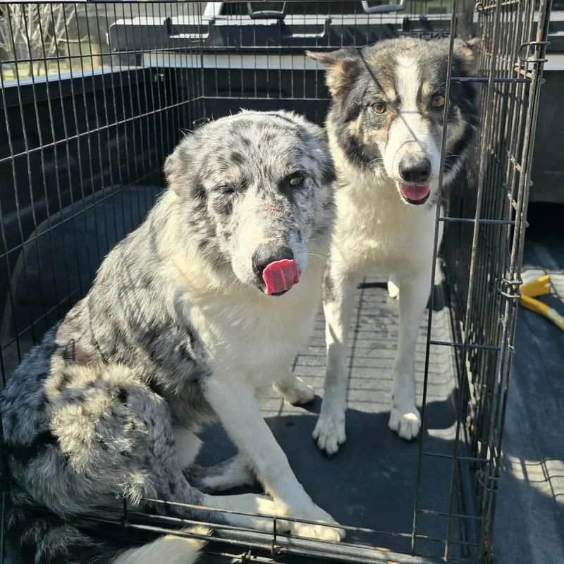 Zac Brown Band thumbnail 2