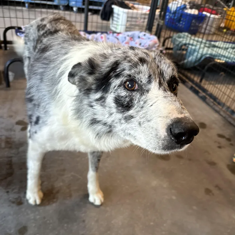 Zac Brown Band thumbnail 3