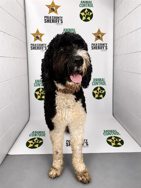 Charley