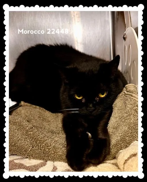Morocco thumbnail 4