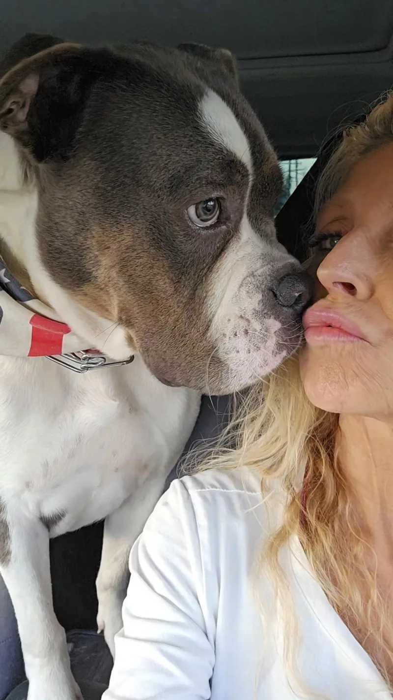 Z  Bullyman thumbnail 2