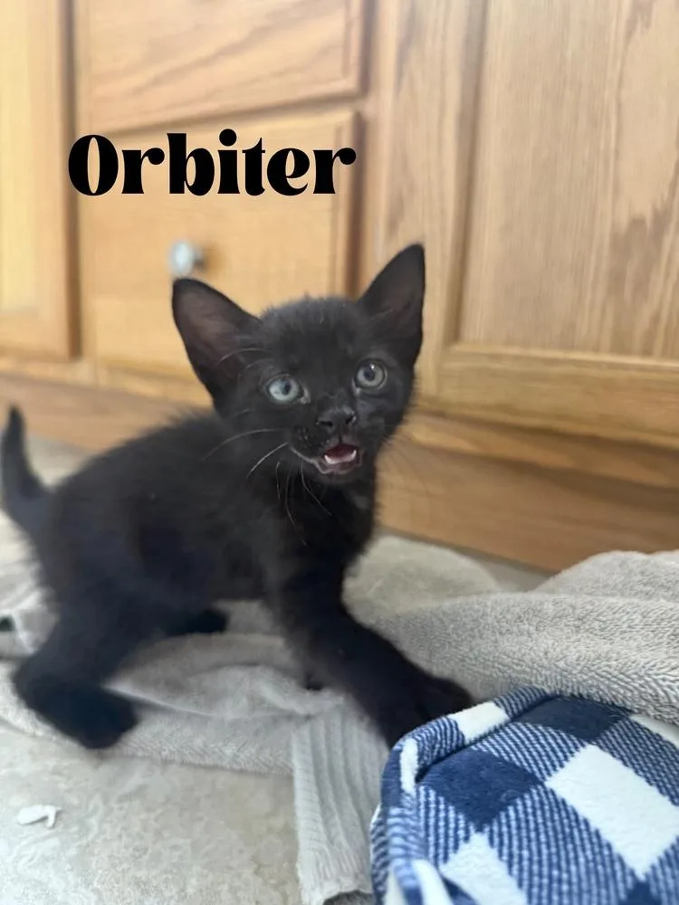 Orbiter thumbnail 5