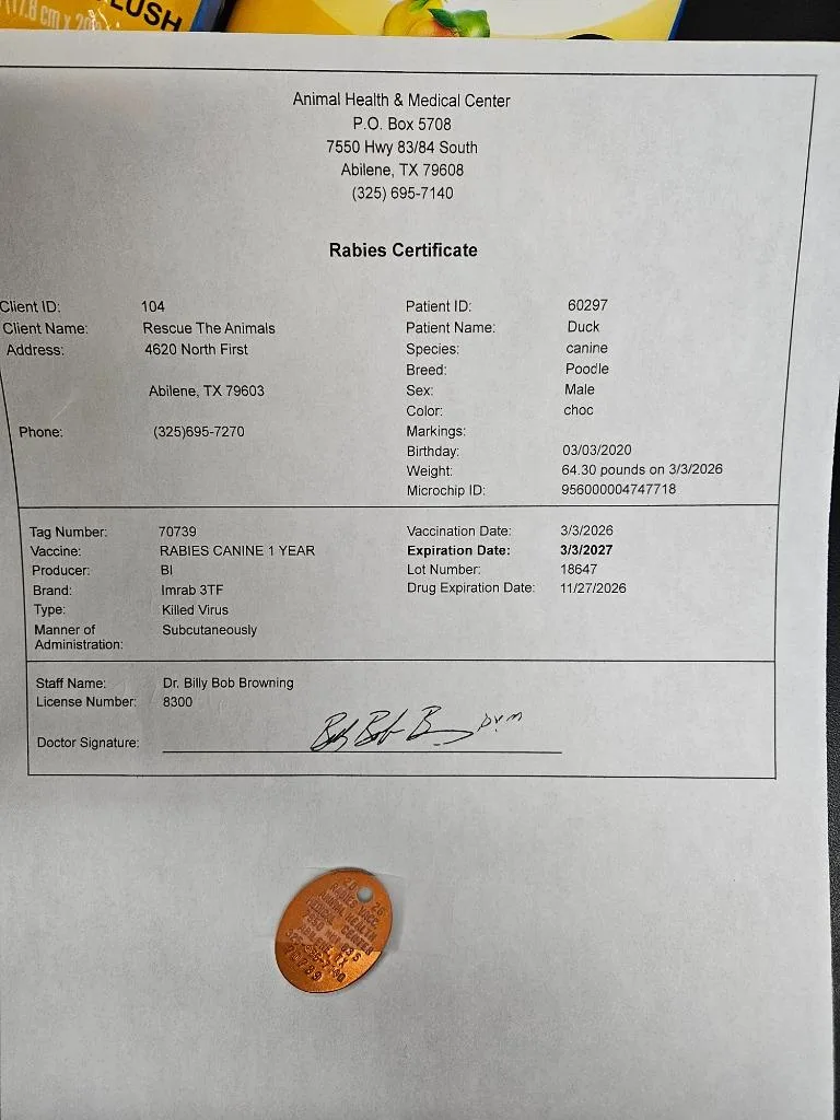 Duck Standard $ thumbnail 2