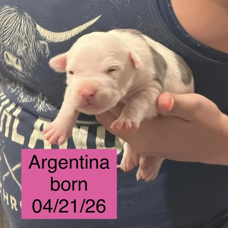 Argentina thumbnail 2