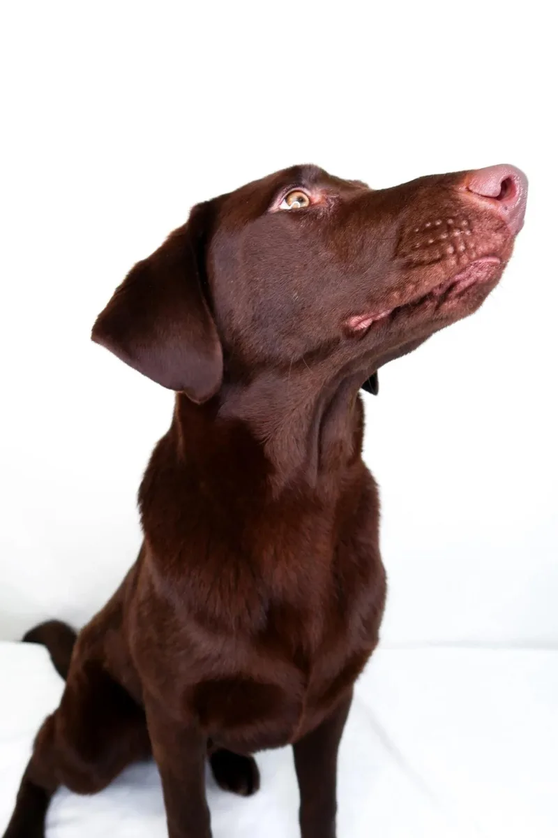 James Brown thumbnail 2