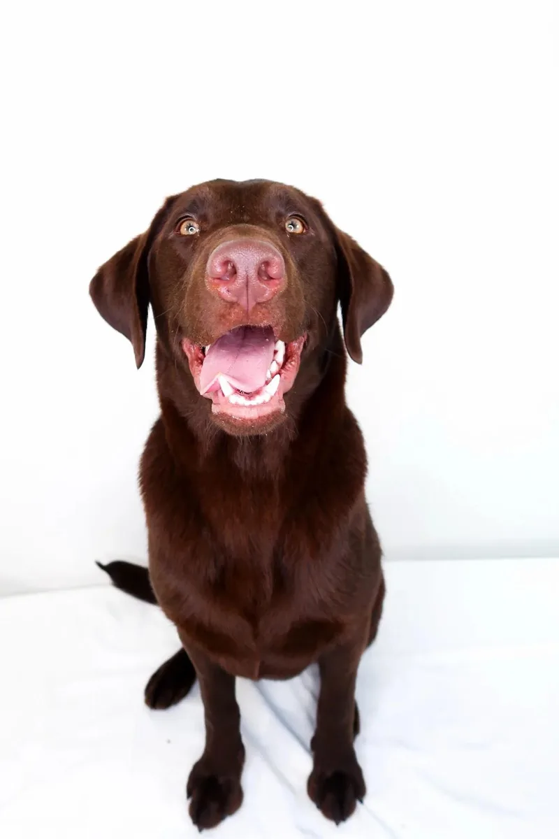 James Brown thumbnail 3