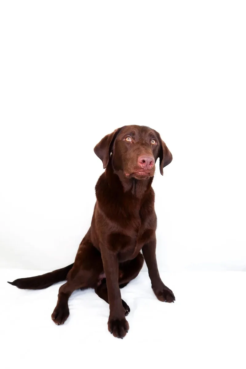 James Brown thumbnail 5