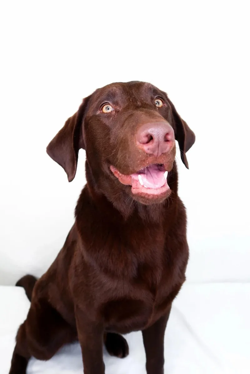 James Brown thumbnail 6