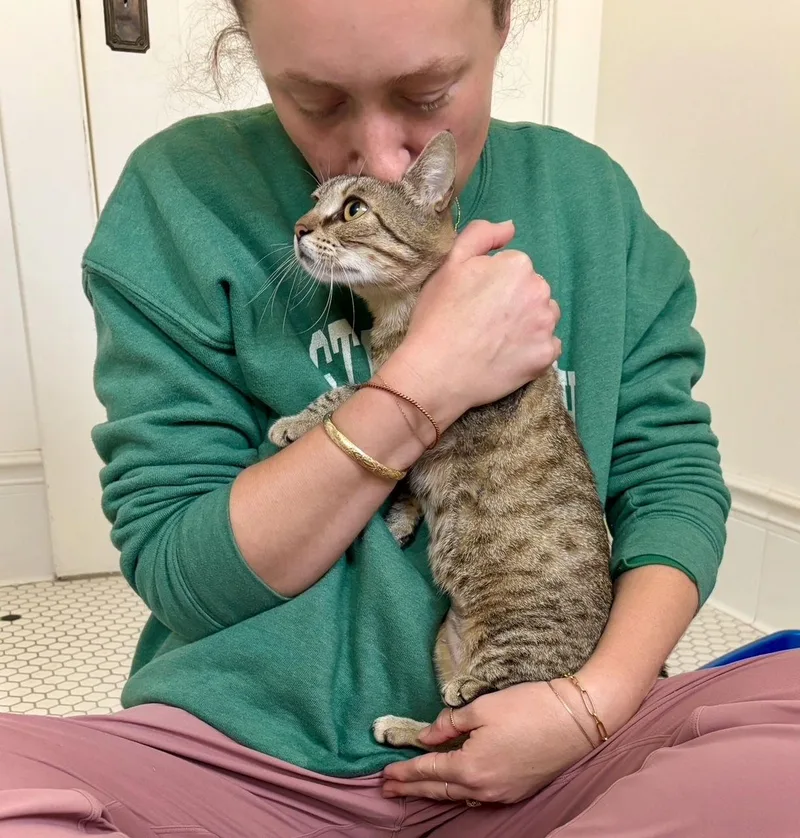 Kanga & Roo thumbnail 2