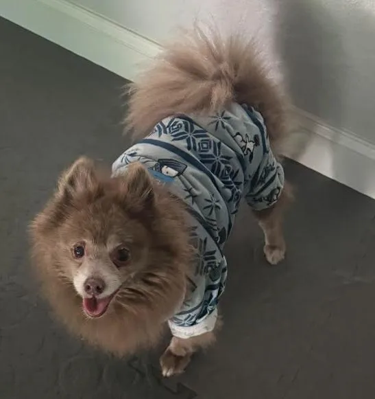 Miami And Pete thumbnail 5