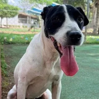 Lucia thumbnail 6