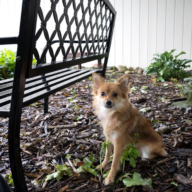 Floof thumbnail 2