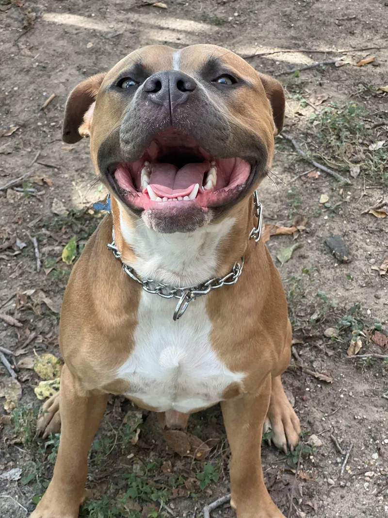 Rico Gdp thumbnail 2