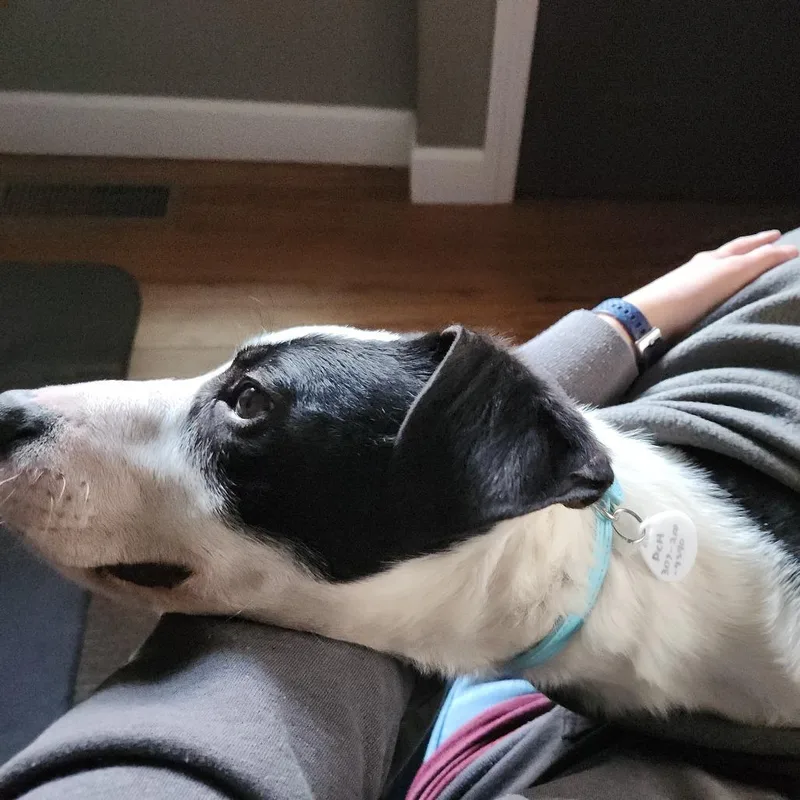 Stanford thumbnail 3