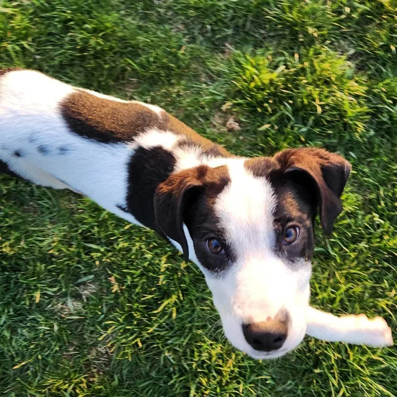 Stanford thumbnail 4