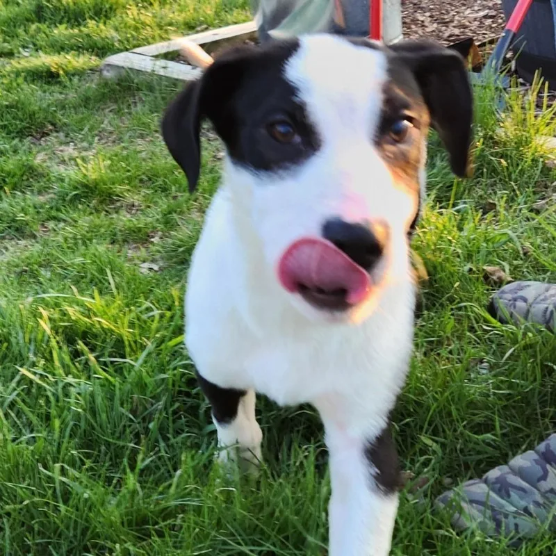 Stanford thumbnail 5