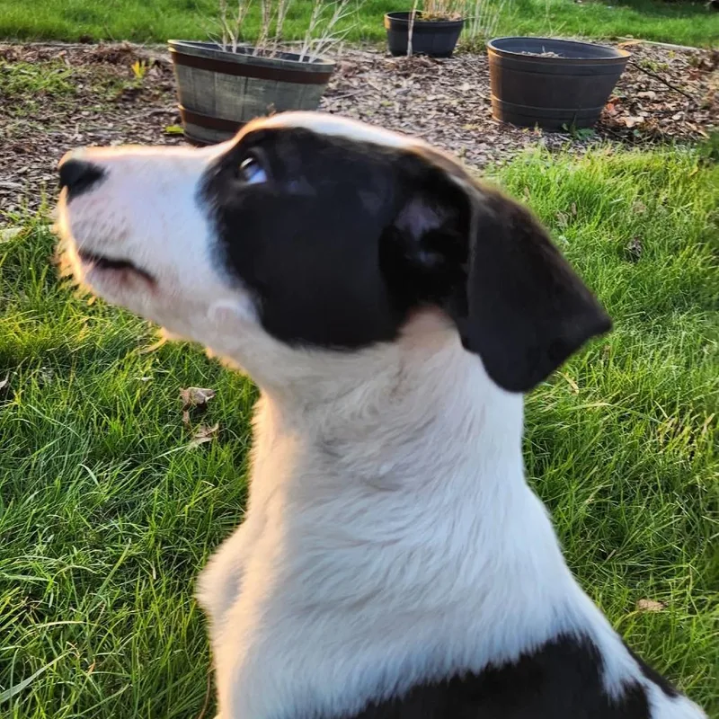 Stanford thumbnail 6