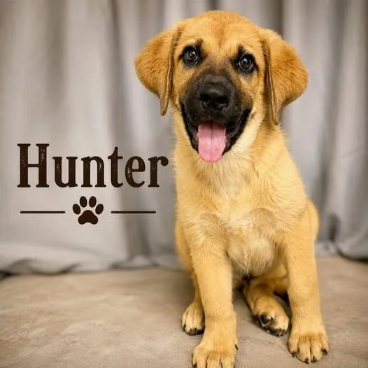Hunter