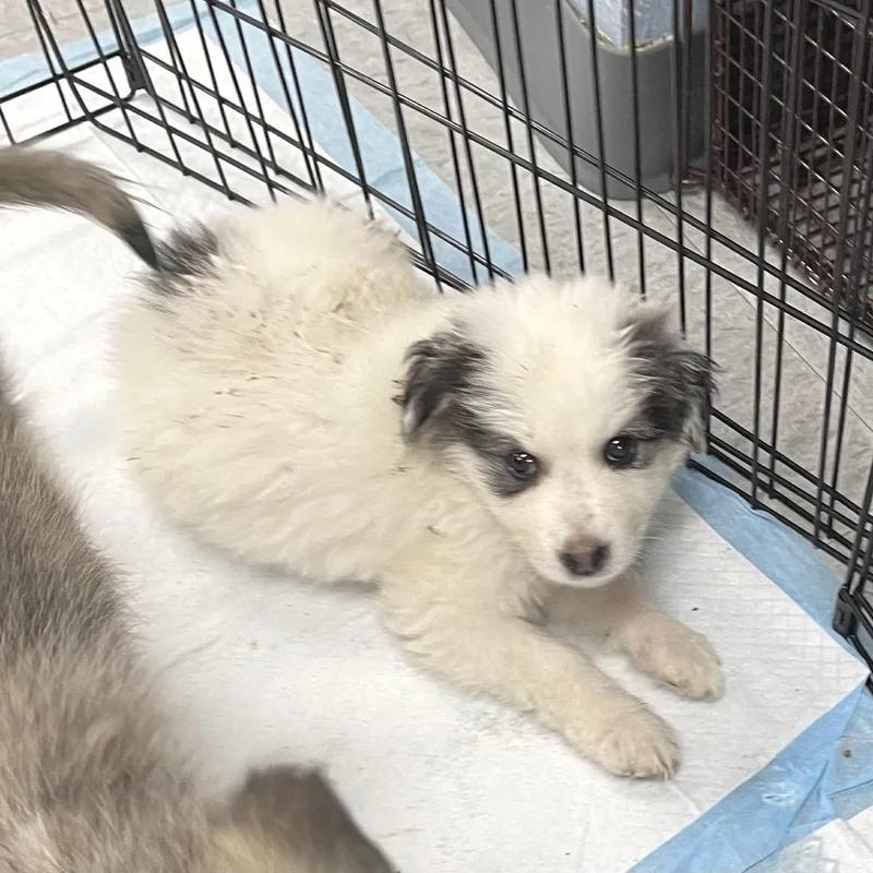 Worcestershire thumbnail 2