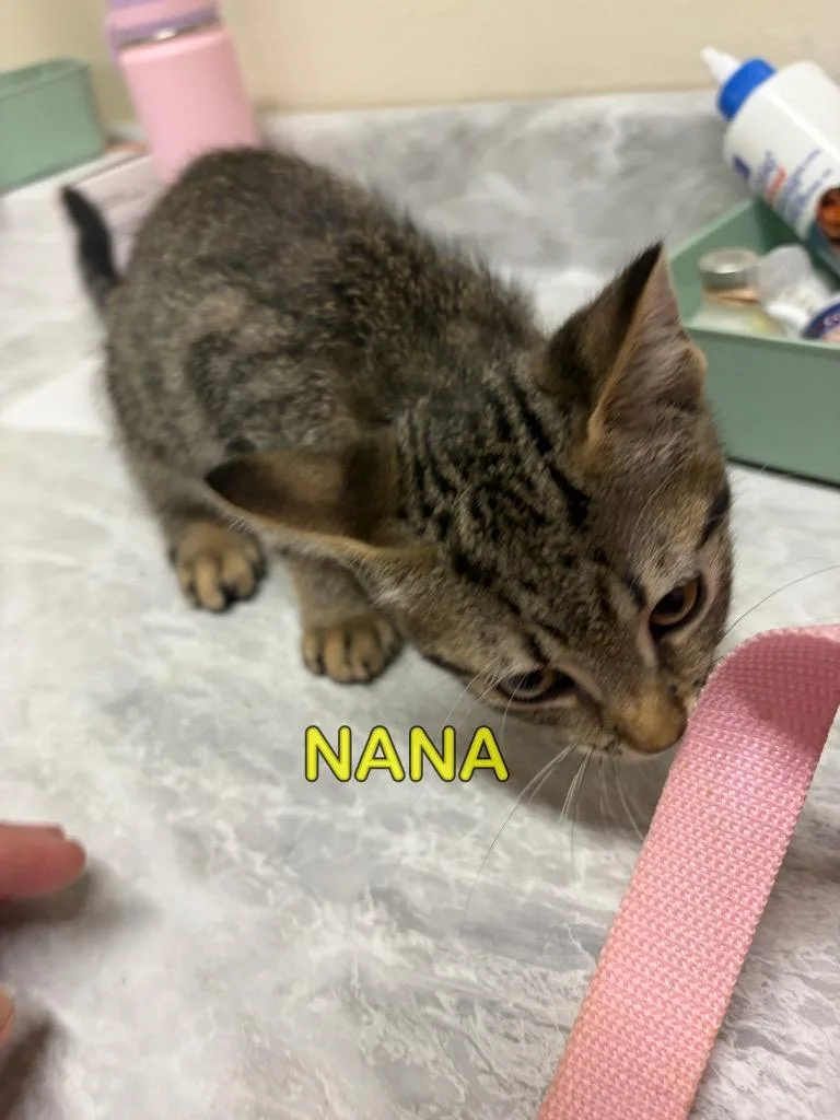 Nana
