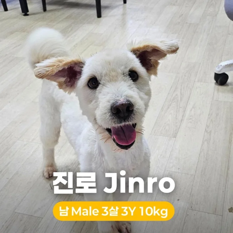 Jinro Hw+ thumbnail 2