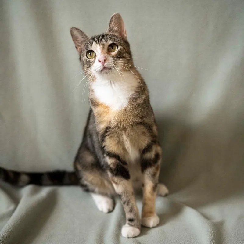 Sweet Jean thumbnail 2