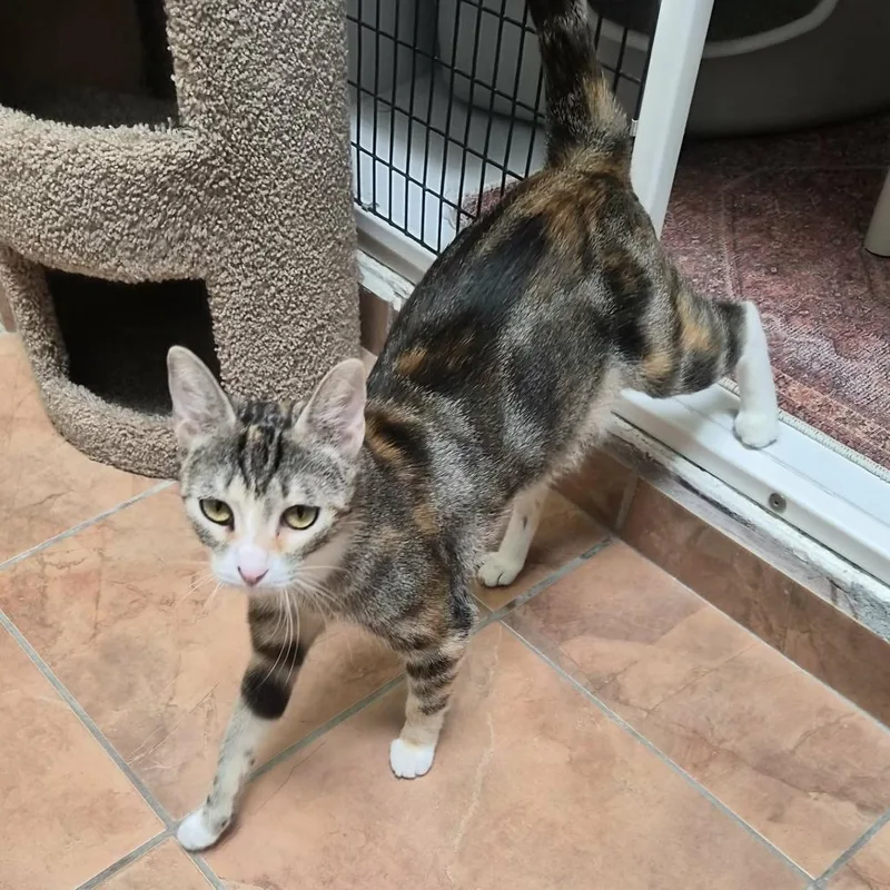 Sweet Jean thumbnail 5