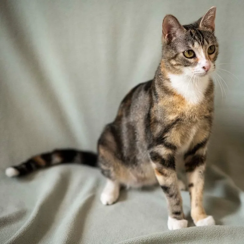 Sweet Jean thumbnail 6