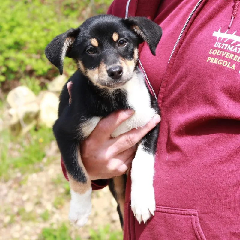 Ct Marilyn Avail May