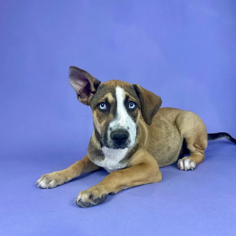 Whitecap thumbnail 3