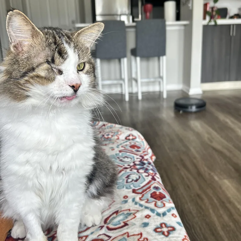 Michael Prakashbarton thumbnail 3