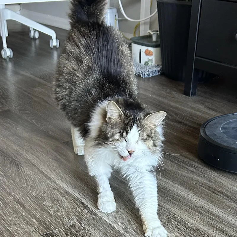 Michael Prakashbarton thumbnail 4