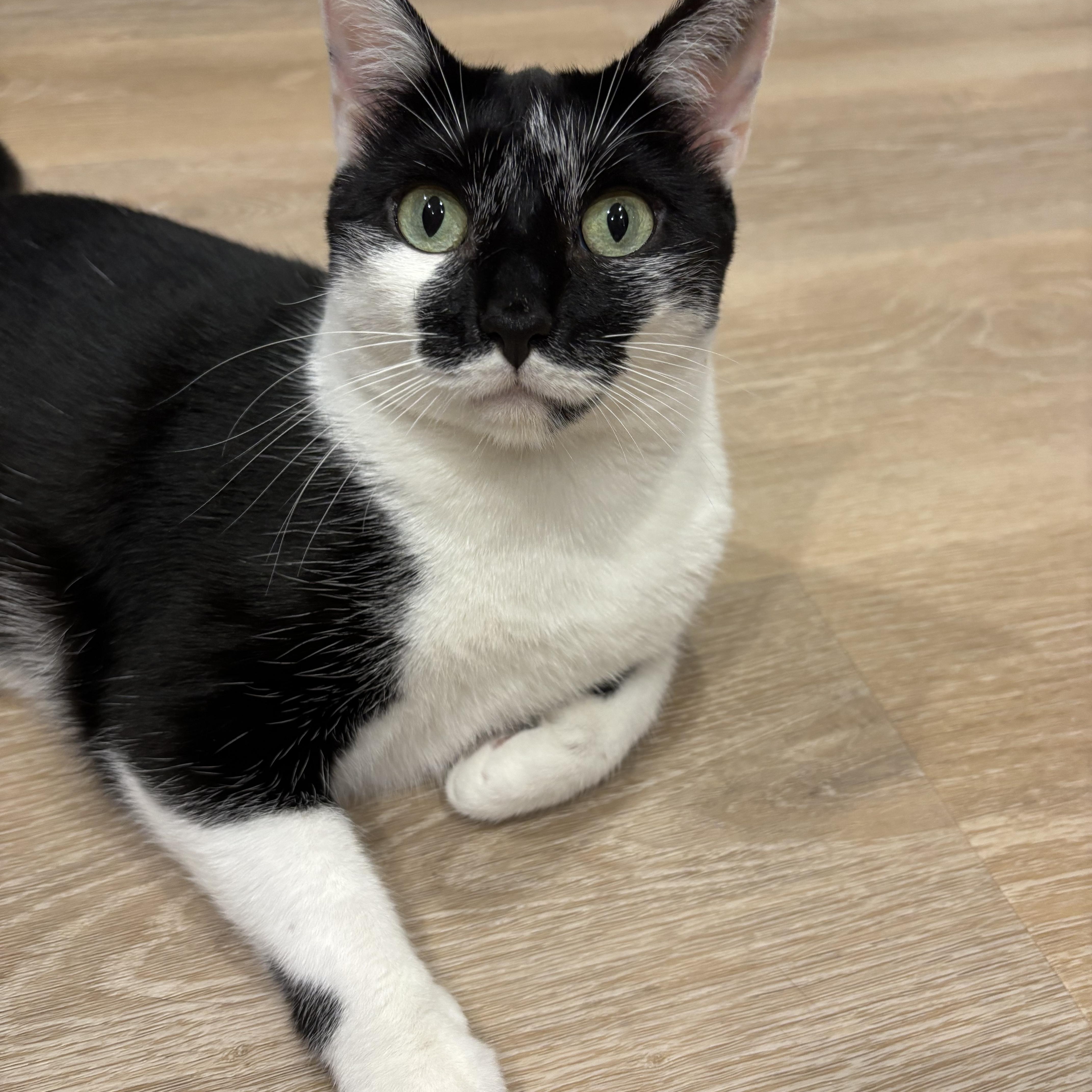 Bandit & Angela thumbnail 2