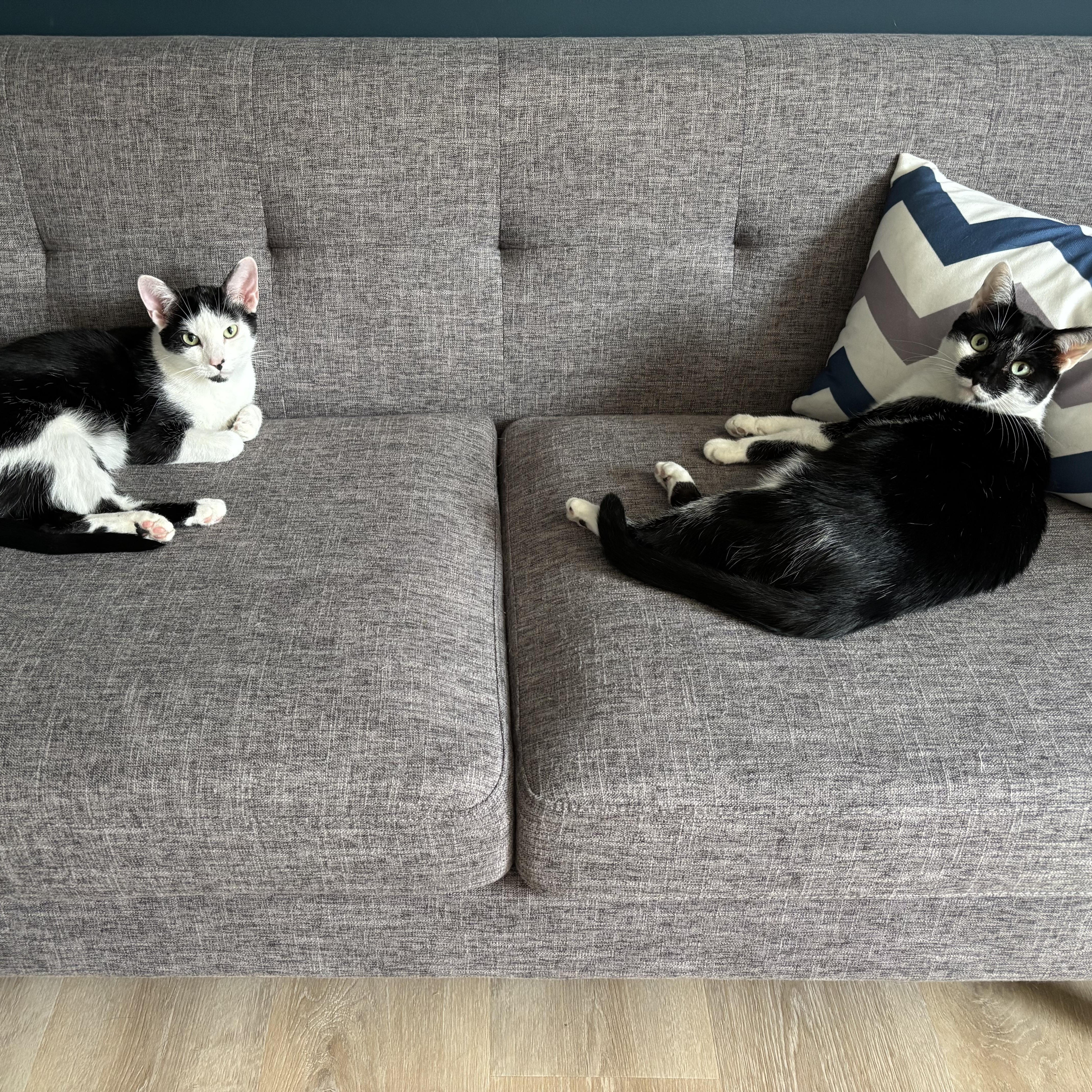 Bandit & Angela thumbnail 3