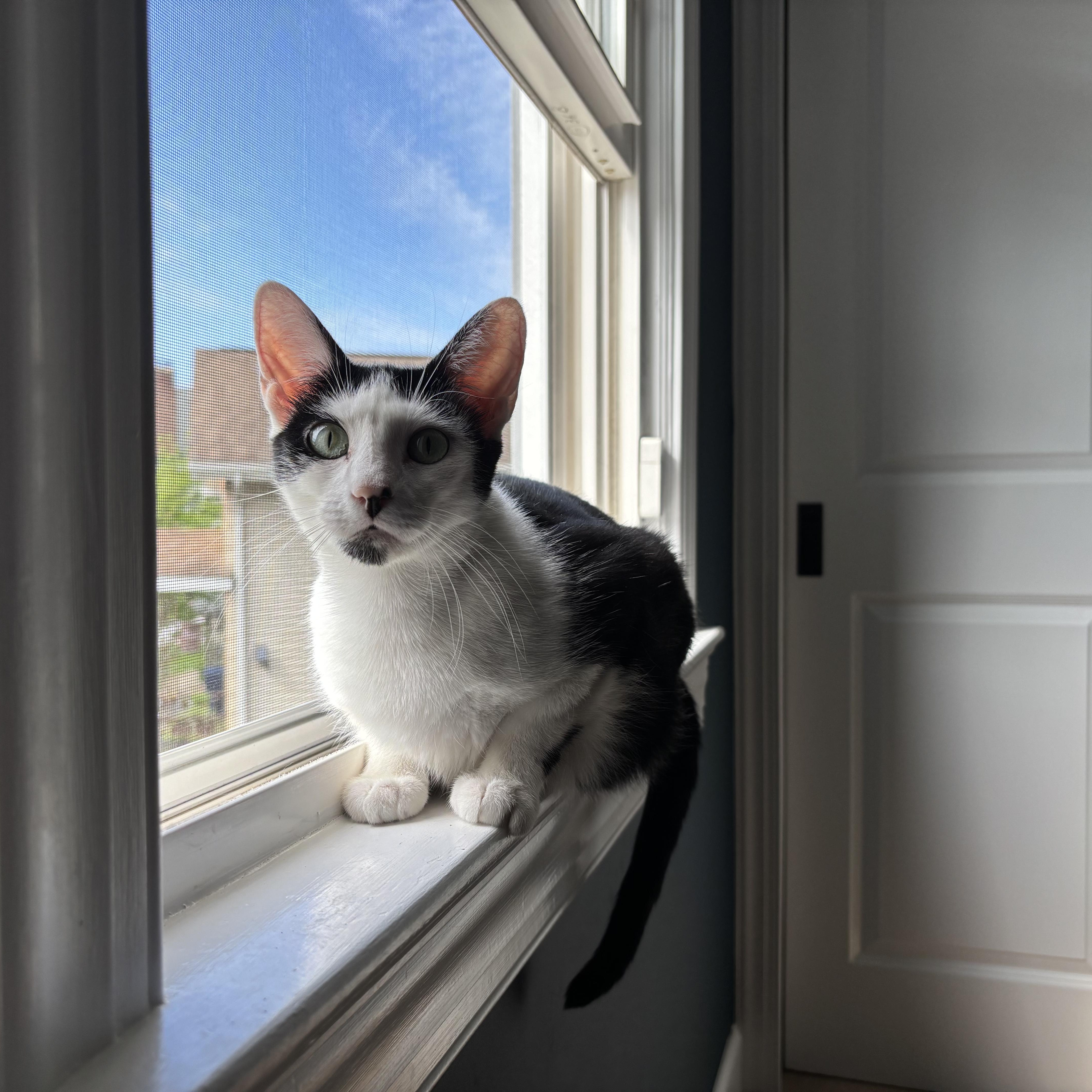 Bandit & Angela thumbnail 5