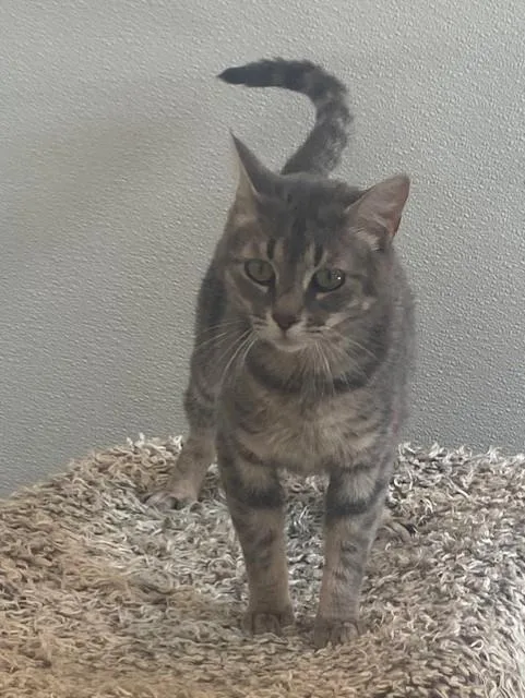 Mama Mia thumbnail 2