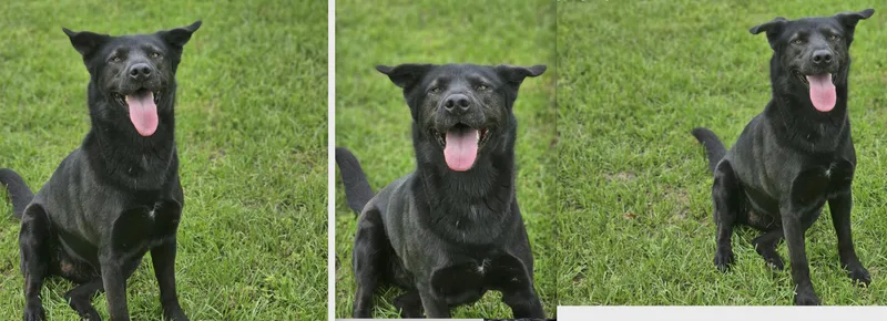 Maggie thumbnail 3
