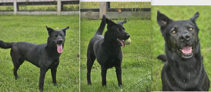 Maggie thumbnail 5