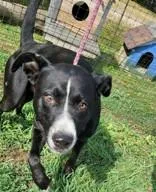 Crossroad thumbnail 2