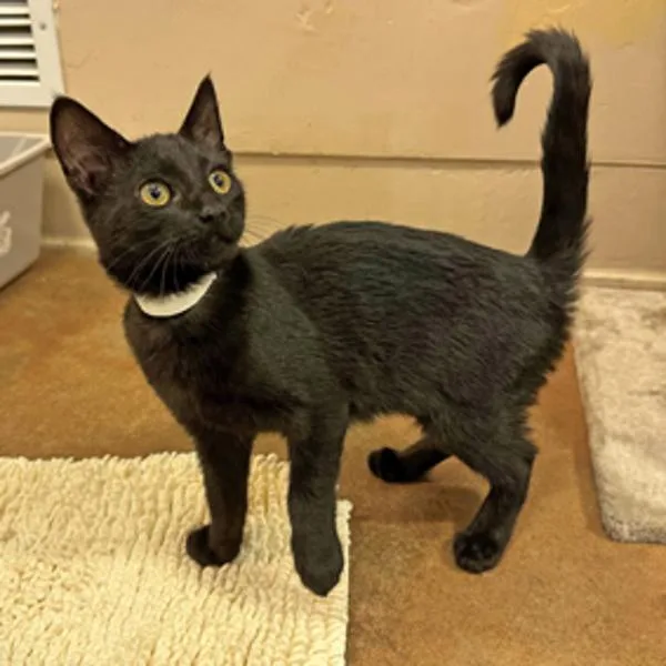 Wednesday Sunshine thumbnail 3