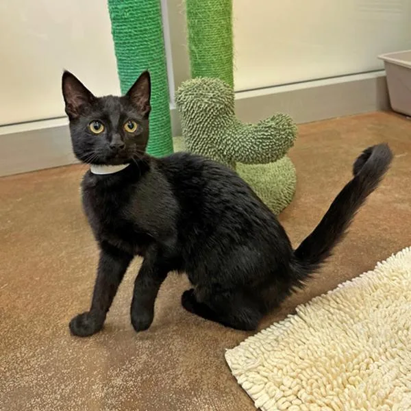 Wednesday Sunshine thumbnail 4