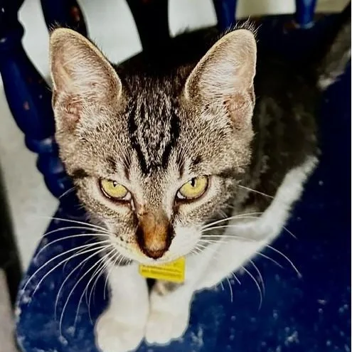 Peter  Super Social thumbnail 3