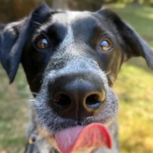 Bubba Butch thumbnail 3