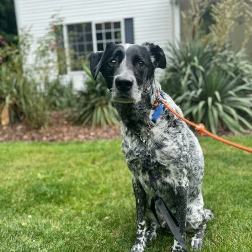 Bubba Butch thumbnail 5