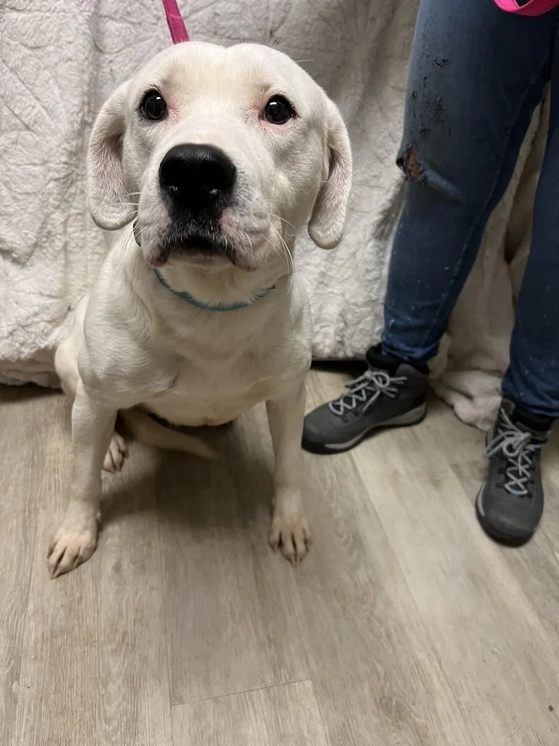 Gryffindornot Accepting Applications Yet! thumbnail 2