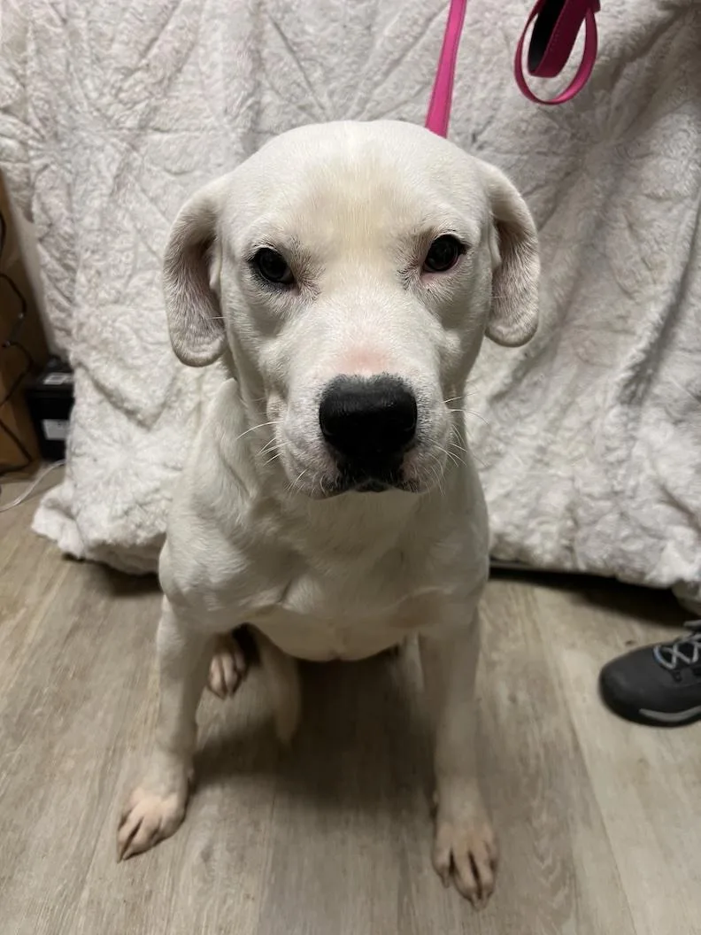 Gryffindornot Accepting Applications Yet! thumbnail 4